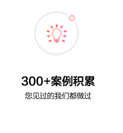 300+案例積累